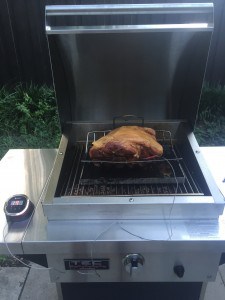 TEC Grill Smoking Pulled Pork