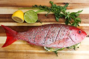 TEC Grills -Grilling Whole Fish - Whole Snapper