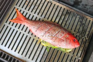 TEC Grills -Grilling Whole Fish - Fish on the Grill