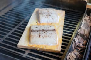 TEC Grills 5 Things You Wouldn't Think to Smoke on the Infrared Smoker/Roaster - Smoked Mahi